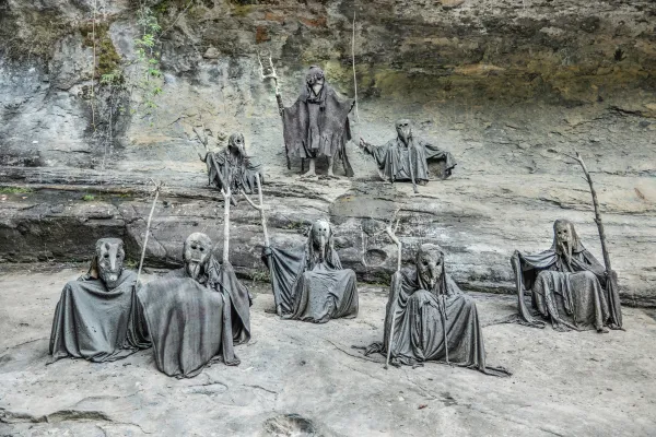 Bird Tribe thumbnail