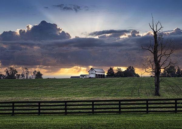 Sunset on the Farm thumbnail