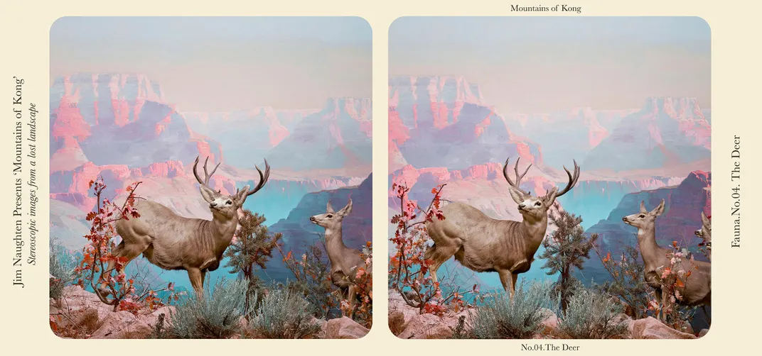 A stereograph called “The Deer”