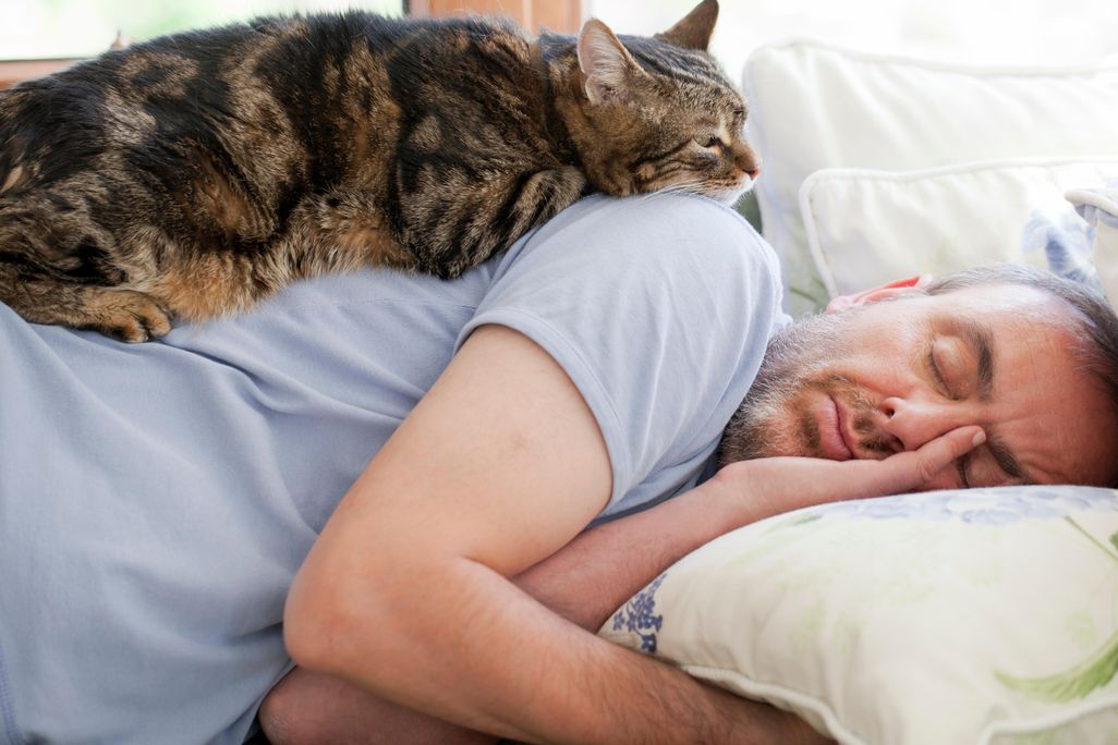 iStock-168282788.jpg