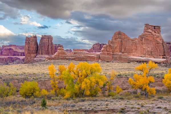 Large sandstone rock formation and trees in golden fall color in Arches National Park. thumbnail