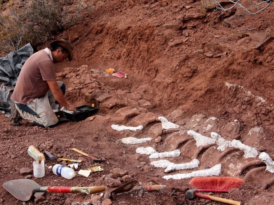 Paleontologist Unearthing 98-million-year-old Fossil