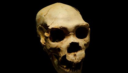 How Did Climate Change Affect Ancient Humans?