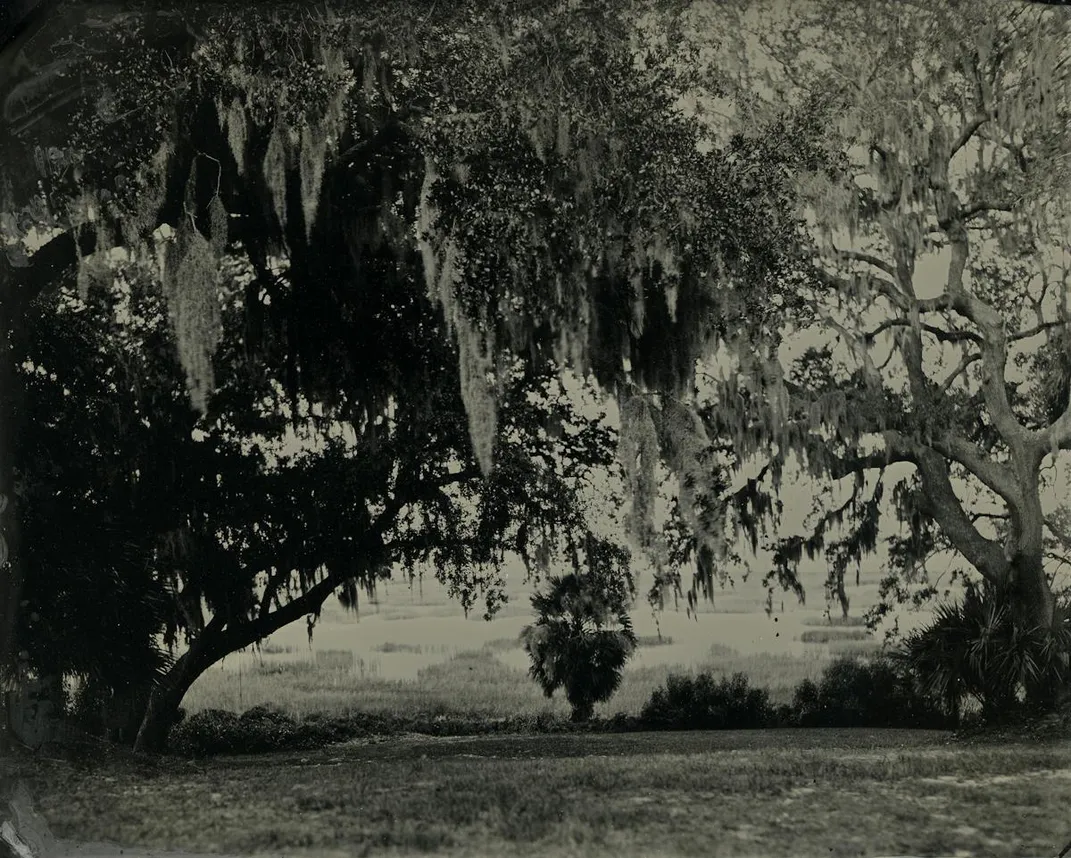 A view of the wetlands down the street from the Robert Smalls House.