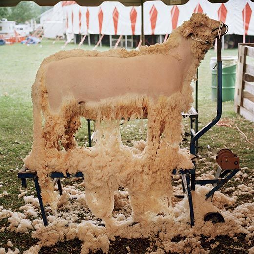 Schoharie County Sunshine Fair 2003