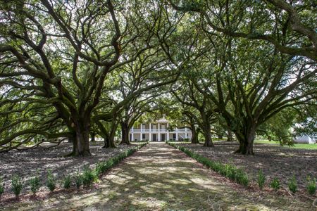 Whitney Plantation, Big House