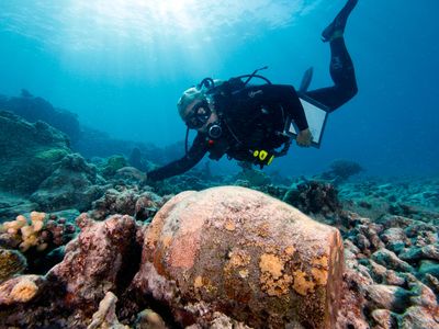 A NOAA archaeologist examines the wreck of Two Brothers in Hawaii. 