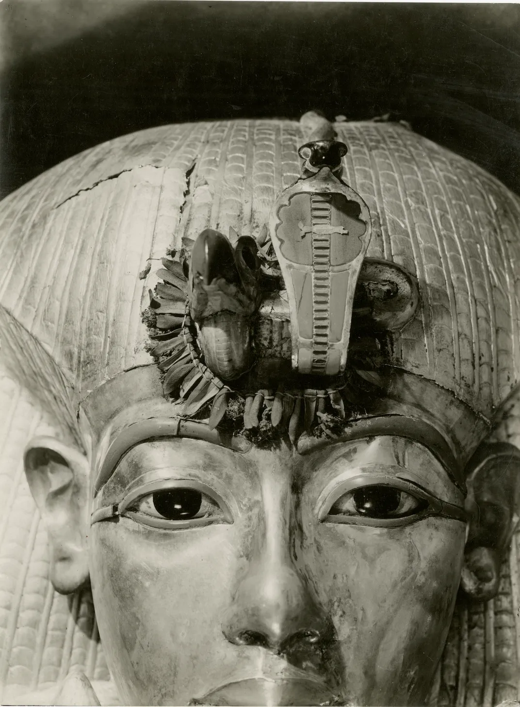 A small garland of cornflowers and olive leaves, on the royal insignia of cobra and vulture on the forehead of Tutankhamun’s outer coffin