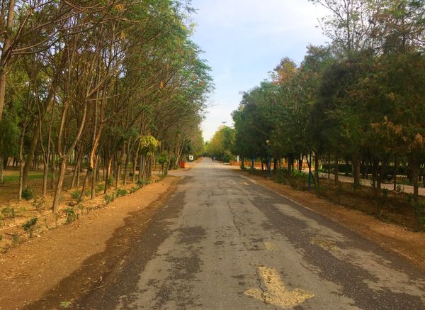 Calm After the Rain: A Street Embraced by Nature thumbnail