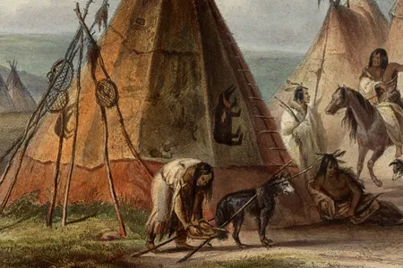 A dog being hitched to a travois in an 1844 painting by Karl Bodmer. 