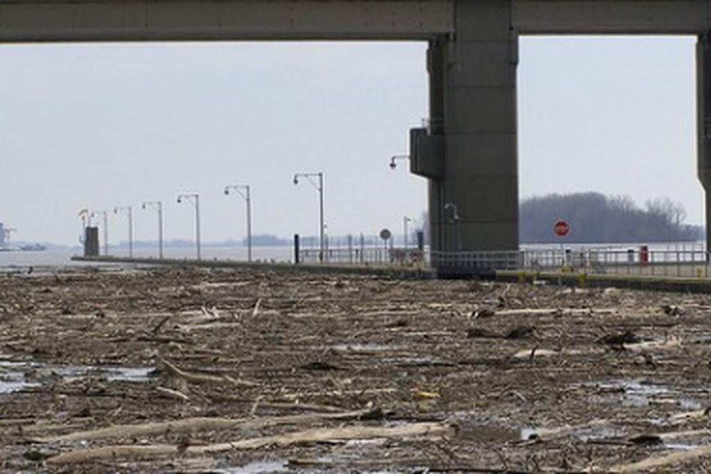 Flood debris on the Ohio River is halted by a dam