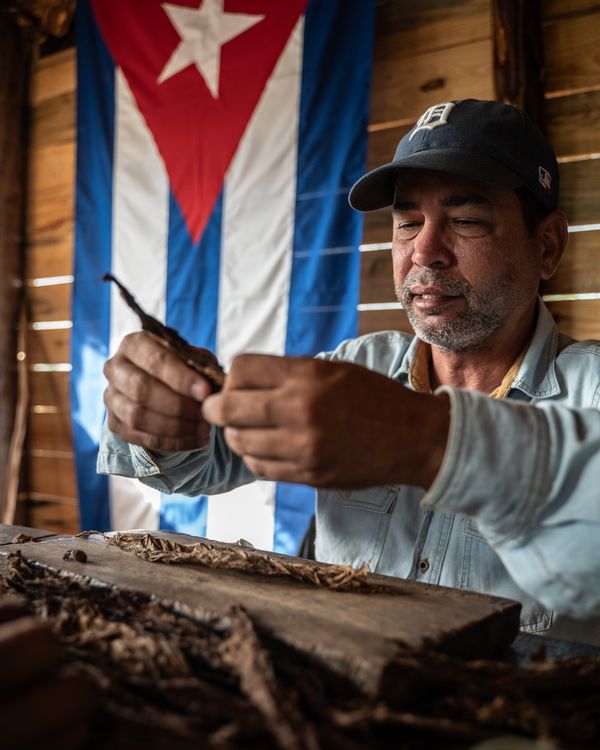 A cuban cigar farmer thumbnail