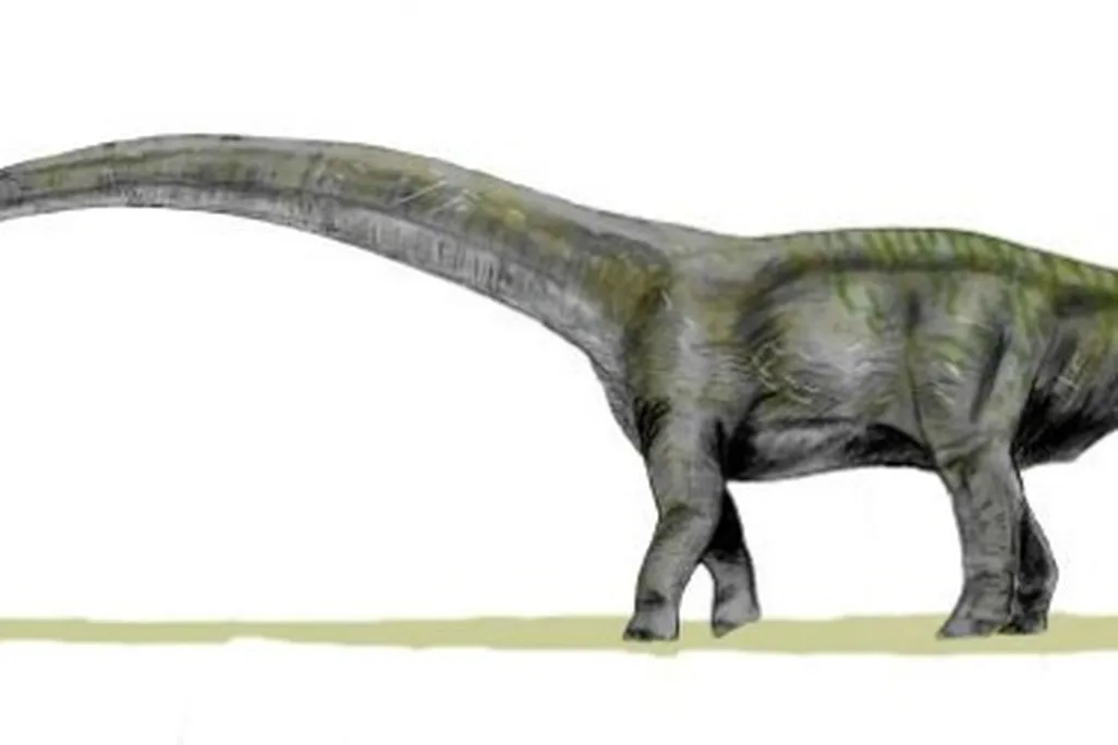 A restoration of Futalognkosaurus