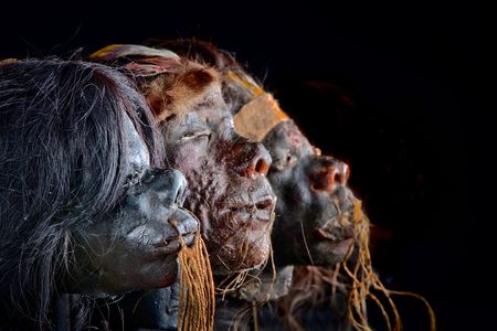 Shrunken heads were prepared and worn by the victor of a battle, believing the victim’s power would then be transferred to that victor. Popular in the mid-19th century, shrunken heads were a collectible which became so popular that Europeans created replica shrunken heads from unclaimed bodies. On loan from: Buffalo Museum of Science and San Diego Museum of Man.