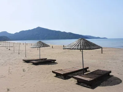 Iztuzu Beach in Turkey was closed during part of the pandemic. Around the world, lockdowns to combat Covid-19 forced people to stay home and halt activities—with mixed results for ecosystems and the living things within them.