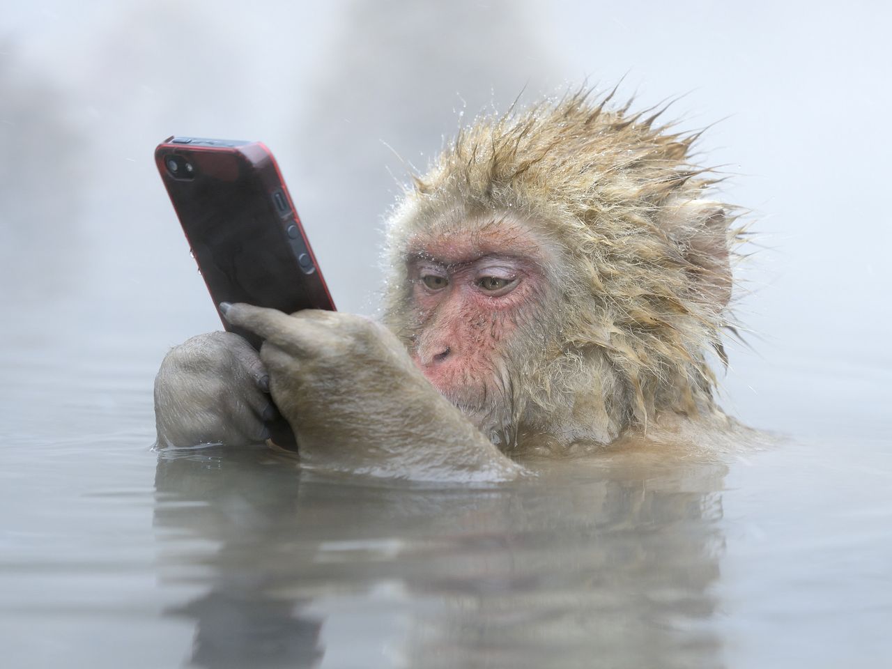 See Past Winning Photographs From the Wildlife Photographer of the