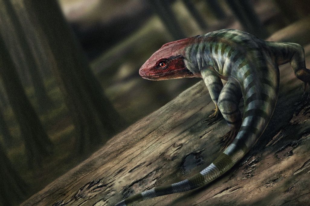 a digital rendition of a lizard-looking creature