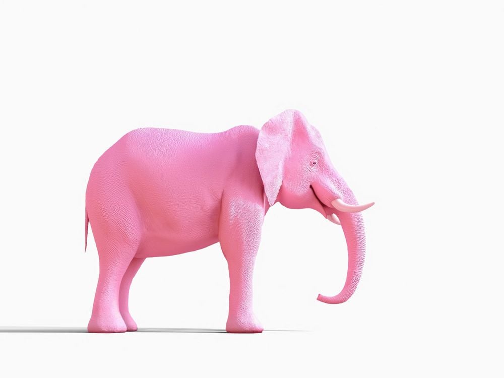 hallucination pink elephant
