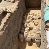 Hundreds of Unopened Wine Jars Unearthed in Egyptian Queen's Tomb icon