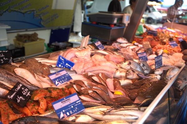 Fish stall in Riberac thumbnail