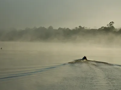 C. David de Santana and his team exploring the Javari River on the border of Brazil and Peru on a misty morning. (Douglas Bastos)