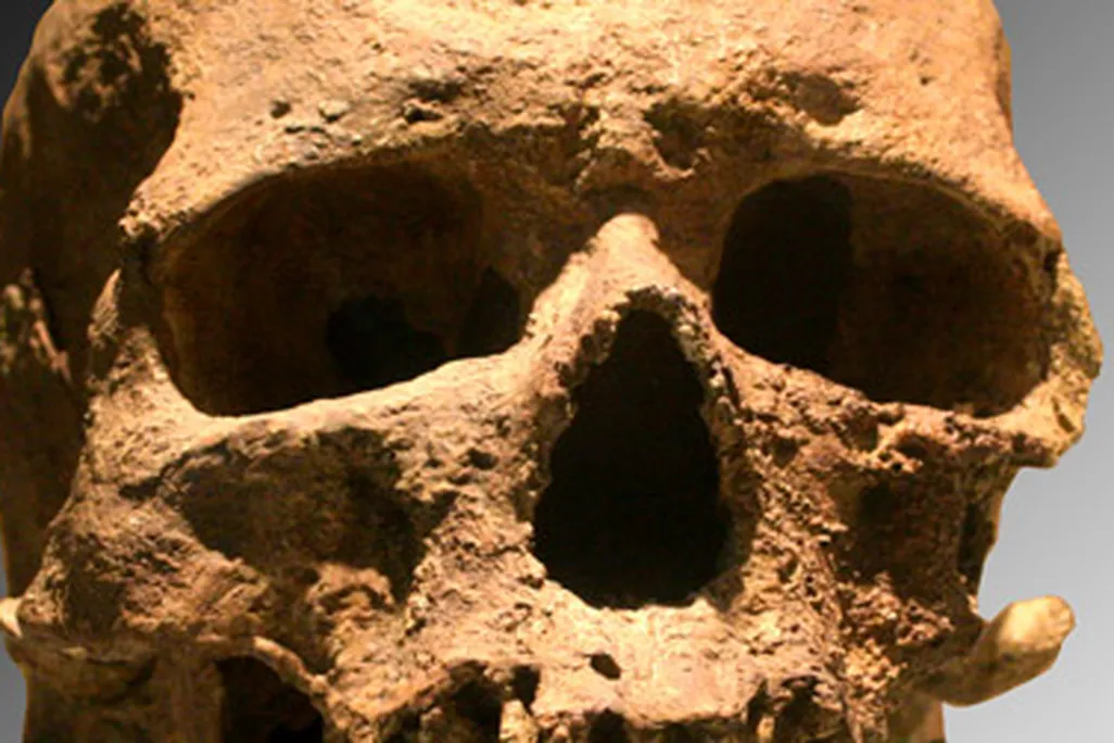 Cro-Magnon was one of the first fossils of an ancient human ever discovered.