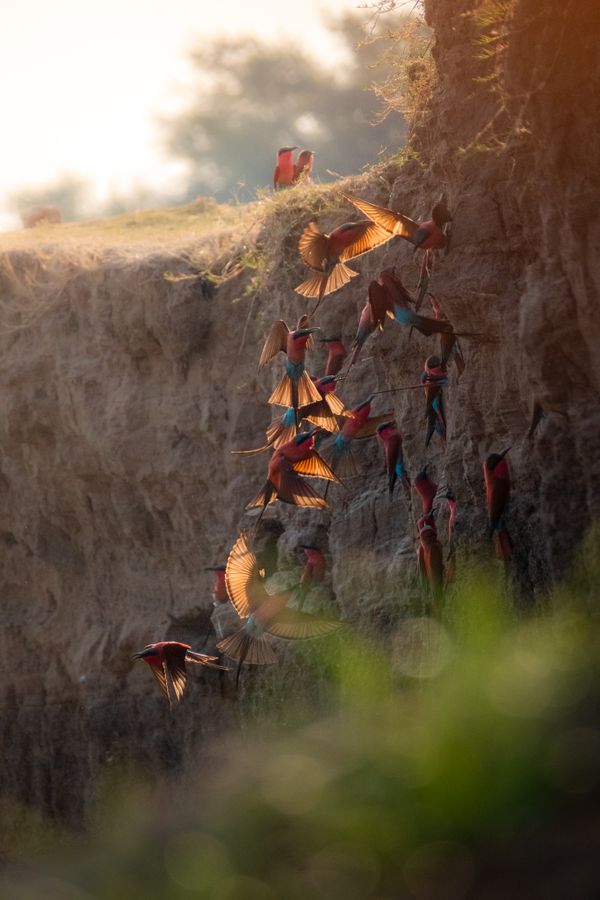 Road of Wings thumbnail