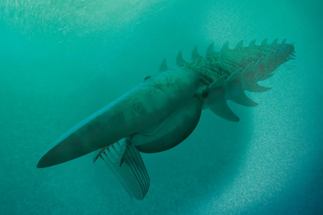 Fossil Reconstruction