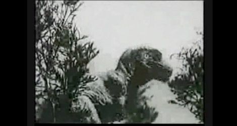 20110818094006slumber-mountain-movie-dinosaur.jpg