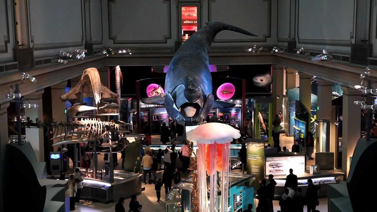 Preview thumbnail for Introducing Ask Smithsonian