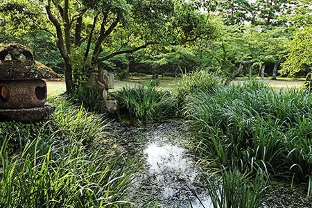 All that remains of Hagi Castle are its ruins.  Built in 1604, the castle is located in the peaceful Shizuki Park at the northwestern tip of the city.