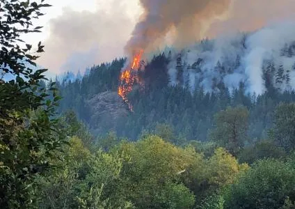 The Maple Fire photographed burning up Jefferson Ridge in Olympic National Forest, Washington. In court documents, prosecutors alleged that men convicted of illegal logging in the National Forest may have started the Maple Fire.