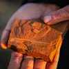 Paleontologists Stumble Across 15-Million-Year-Old Fish Fossils That Are So Well Preserved, Their Last Meals Are Intact icon