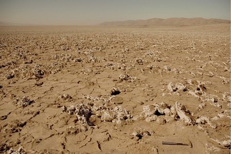 Salt nodules (whitish rocks in the foreground) are the last outpost of life in the hyperarid core of the Atacama Desert (see hammer for scale).