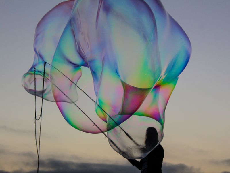Bubble Head Smithsonian Photo Contest Smithsonian Magazine