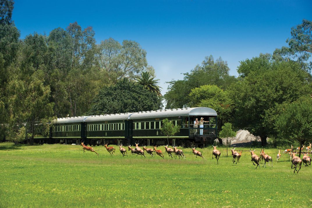 Observing wildlife from the rear of Rovos Rail