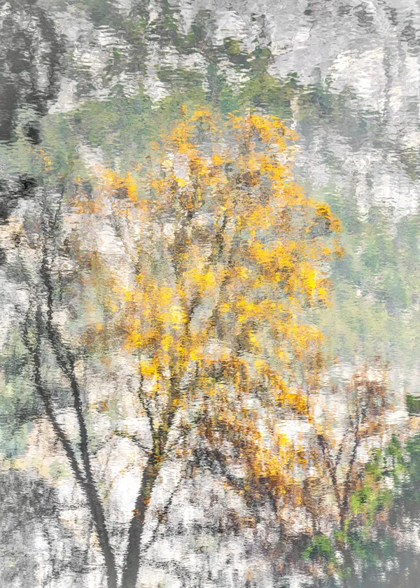Fall Reflection thumbnail