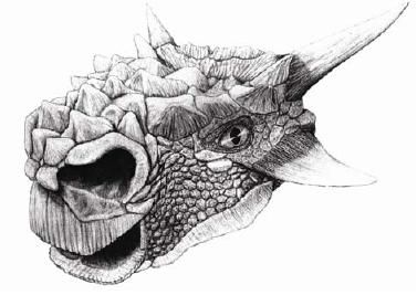 20110520083116minotarasaurus.jpg