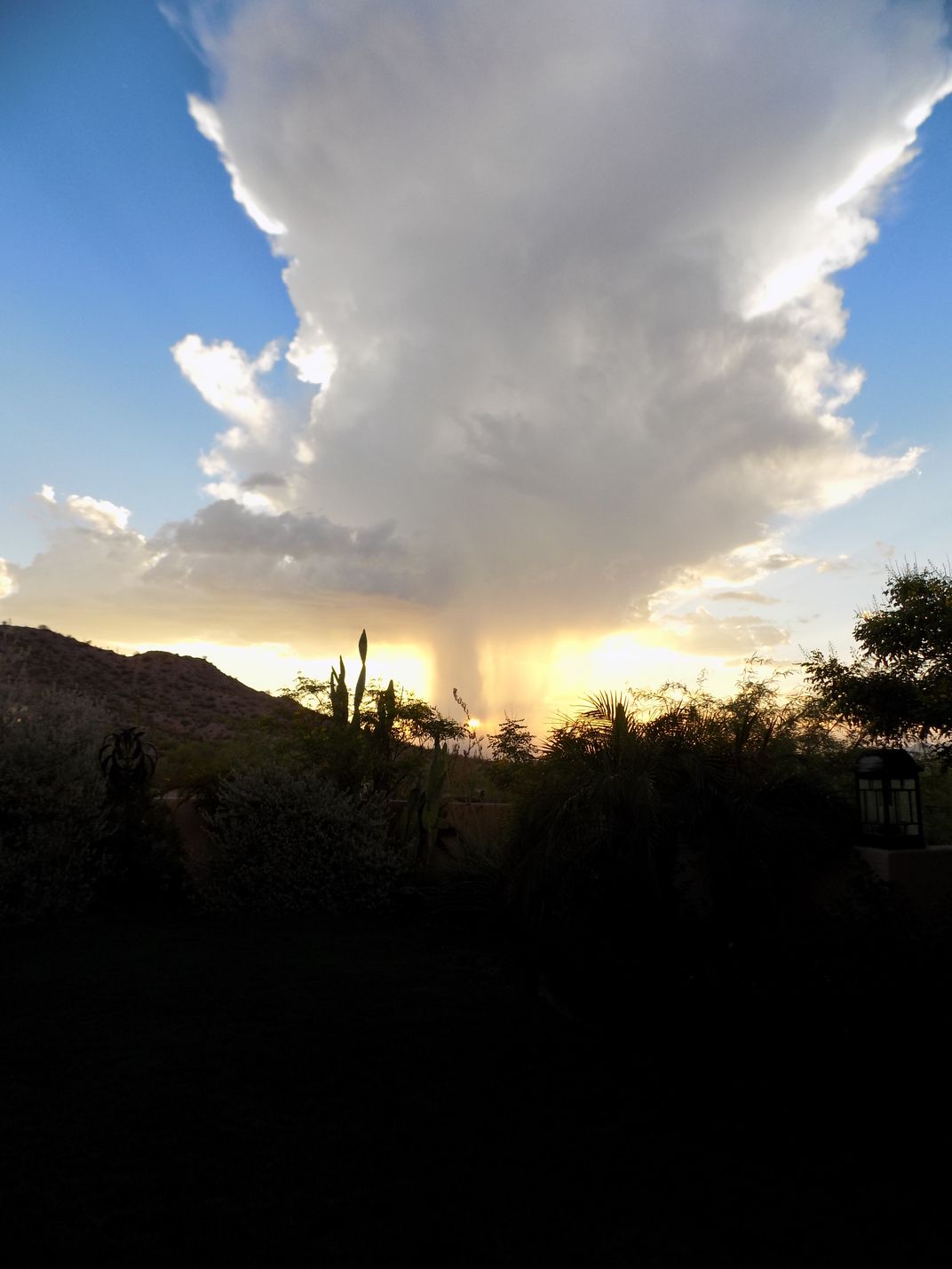 Monsoon Arizona isolated rain downspout tunnel | Smithsonian Photo ...