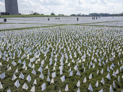 A public art installation commemorating Americans killed by Covid-19 on the National Mall featuring more than&nbsp;650,000 small plastic flags, some with personal messages to those they&rsquo;ve lost. 