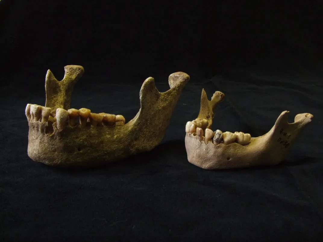 Mandibles