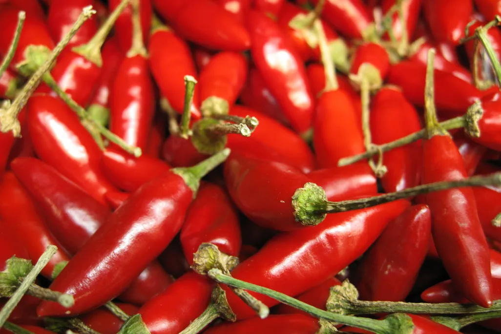 chili peppers.jpg