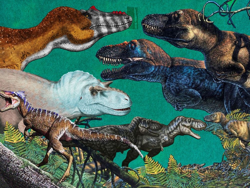 Tyrannosaurs