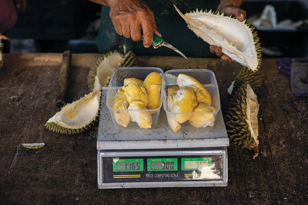 Durian fruit is weighed