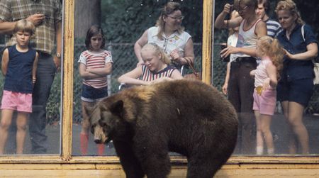 The original Smokey Bear at the Zoo