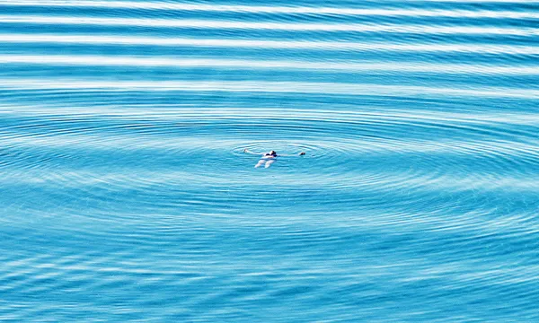 Swimming at the Lake Ohrid. thumbnail