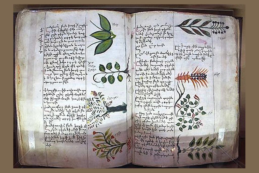 Fifteenth century Armenian botanical encyclopedia