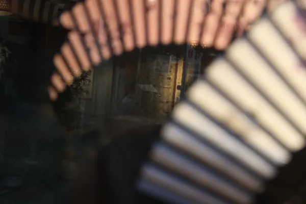 Woman Through the Fans thumbnail