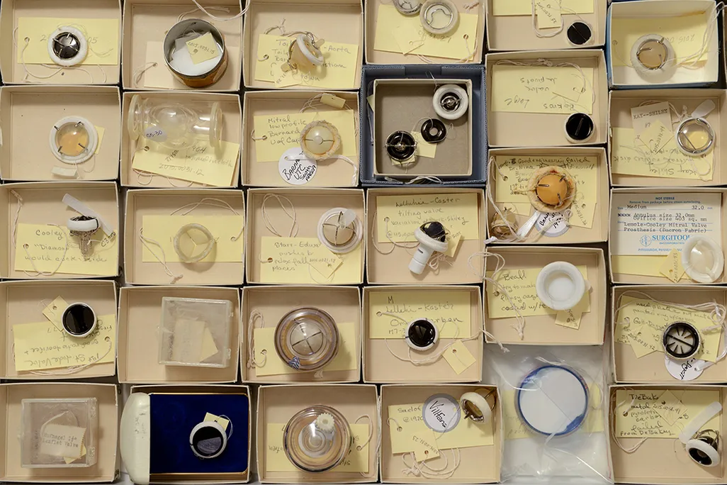 Heart Valves