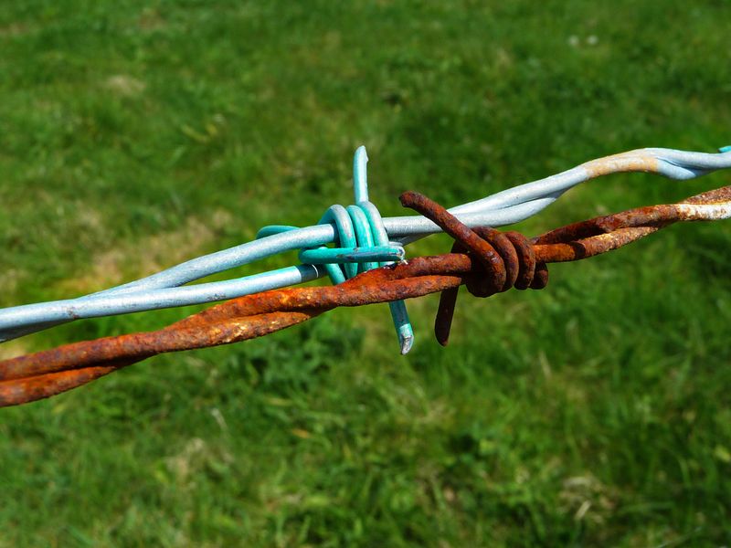 Colorful new barbed wire by a cow pasture along the Pembrokeshire Coast ...